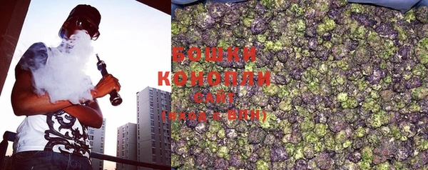 бошки Арсеньев