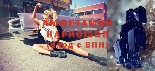 прущие грибы Пересвет