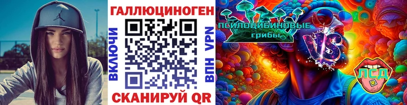 купить   Слюдянка  Псилоцибиновые грибы GOLDEN TEACHER 